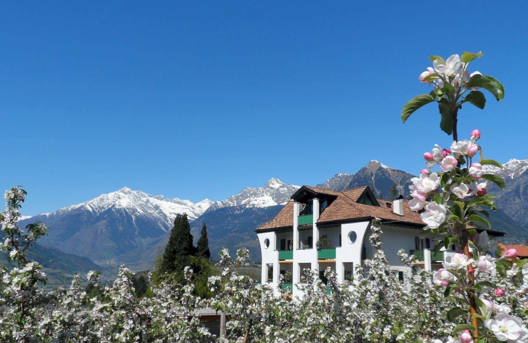Hotel Verdorfer Merano